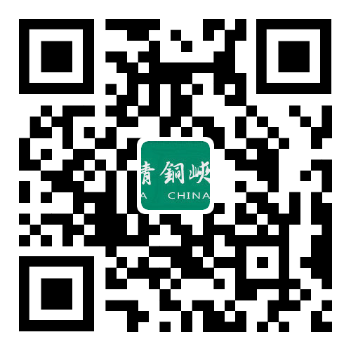 問(wèn)政青銅峽