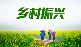 鄉(xiāng)村振興